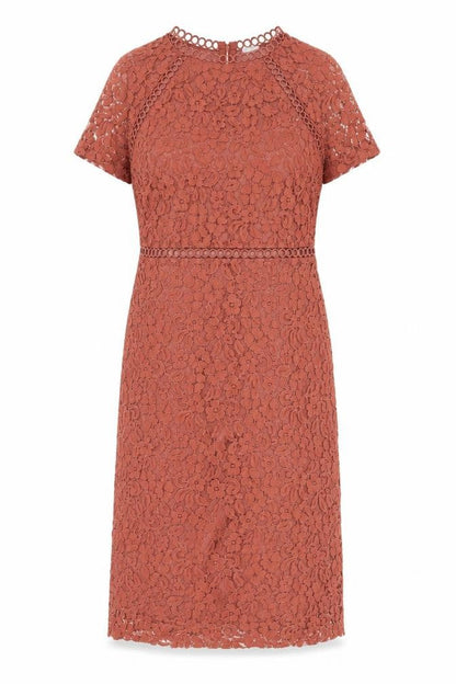Next Women’s Brown Lace Sheath Dress Size 10 V-Neck Wedding Party