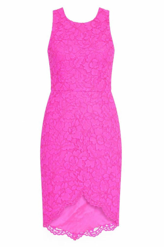 Forever New Women’s Pink Lace Floral Sheath Dress Size 8 Party Wedding