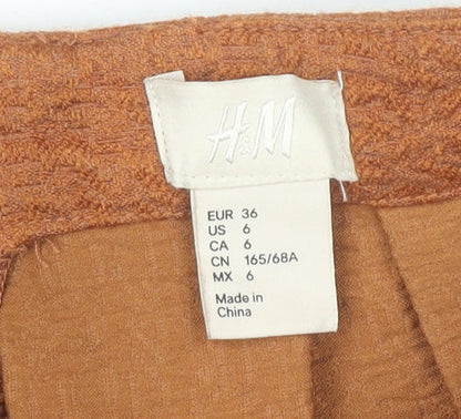 H&M Women’s Brown A-Line Knee Length Pleated Skirt Size 8