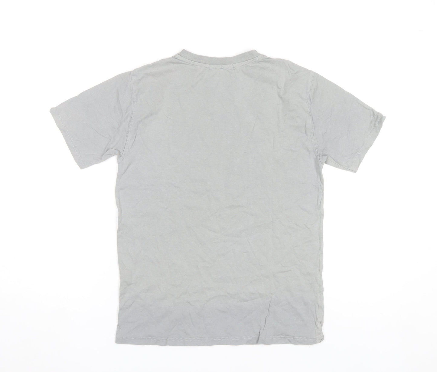 Zara Boys Grey Tiger Graphic T-Shirt 10 Years Short Sleeve Cotton