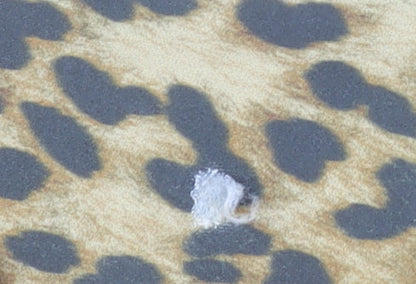 H&M Women’s Leopard Print Flared Slim Trousers L Multicoloured