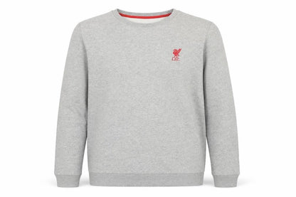 Front view of LFC boys’ grey sweatshirt 16 years crew neck long sleeve logo pullover