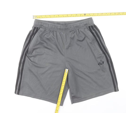 adidas Men Grey M Athletic Regular Fit Training Shorts