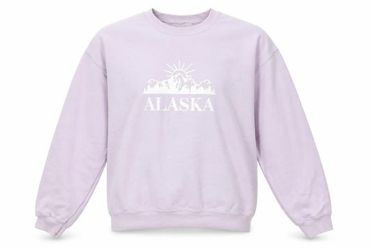 Nasty Gal Women's Purple Cotton Alaska Pullover Jumper M