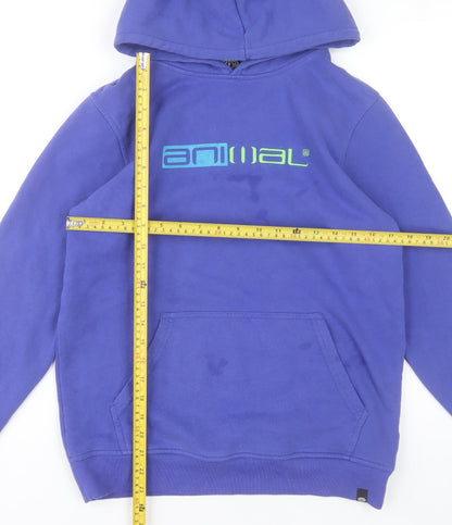 Animal Boys Purple Pullover Hoodie 13-14 Years Graphic Logo Cotton Blend