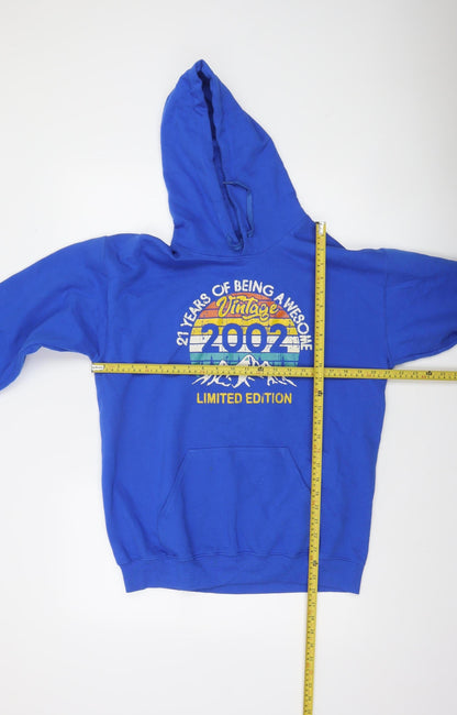 Gildan Men’s Blue Pullover Hoodie Medium Vintage 2002 Graphic