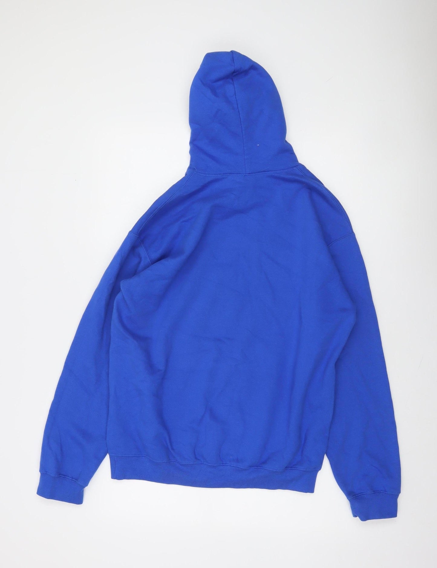 Gildan Men’s Blue Pullover Hoodie Medium Vintage 2002 Graphic