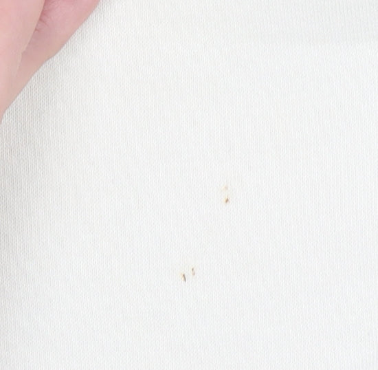 Champion Women Beige Logo Sweatshirt Large Crew Neck Cotton Blend