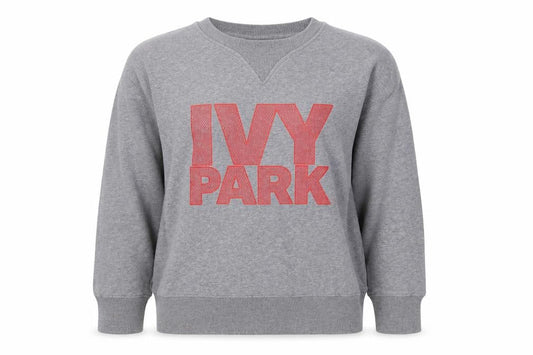 Front view of Ivy Park Women’s Grey Logo Crew Neck Pullover Sweatshirt XS