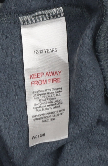 WWE WrestleMania Boys Grey Pullover Hoodie 12-13 Years Cotton Blend