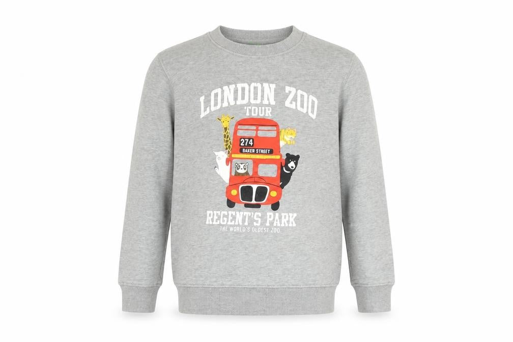 Front view of Bossini boys’ grey london zoo graphic cotton pullover sweatshirt 9-10 years