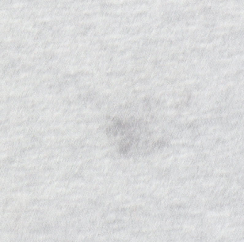 Tokyo Laundry Men's Grey Graphic Print Crew Neck T-Shirt Size L