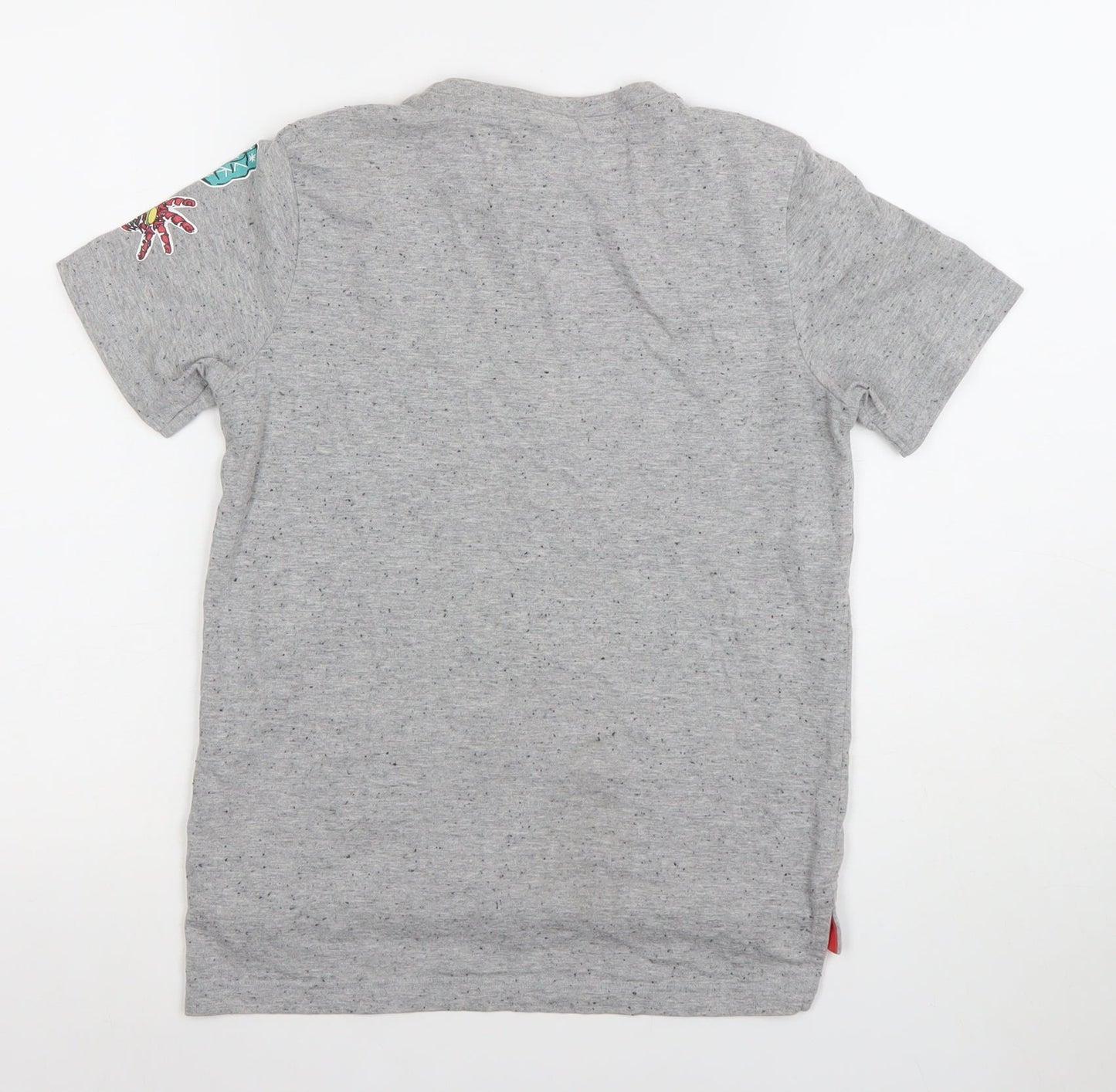 Boys UK Size 9-10 Years St. Bernard for Dunnes Stores Grey Basic T-Shirt