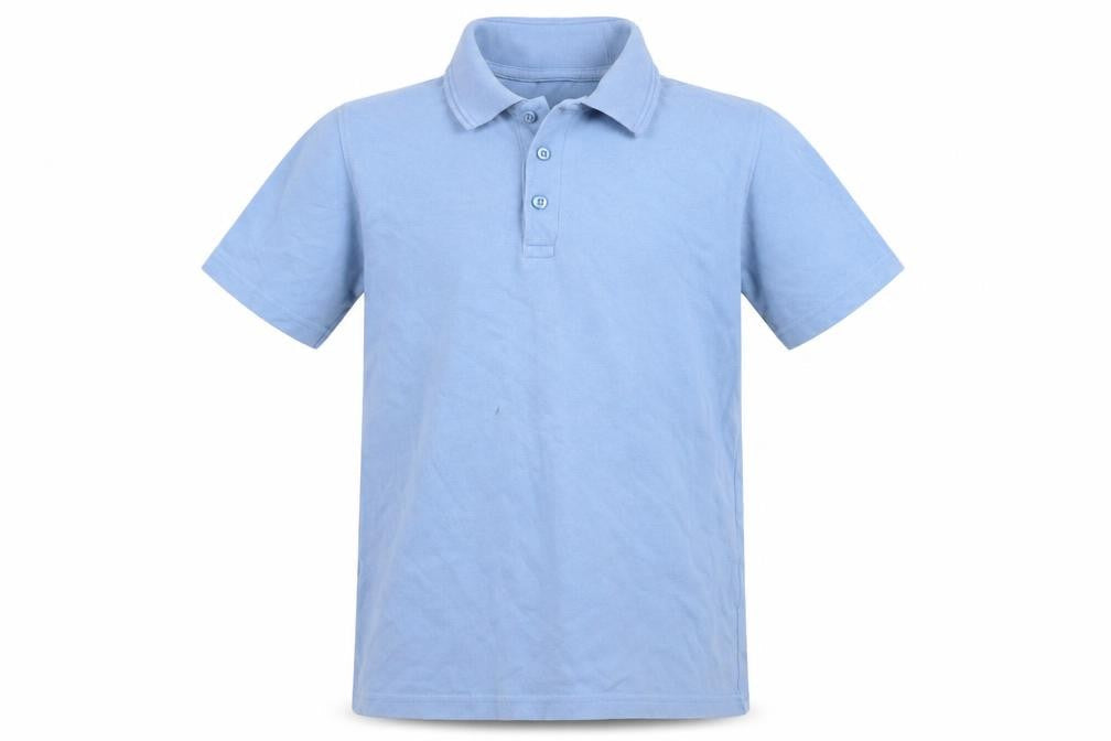 Boys UK Size 10-11 Years St. Bernard for Dunnes Stores Blue Basic Polo