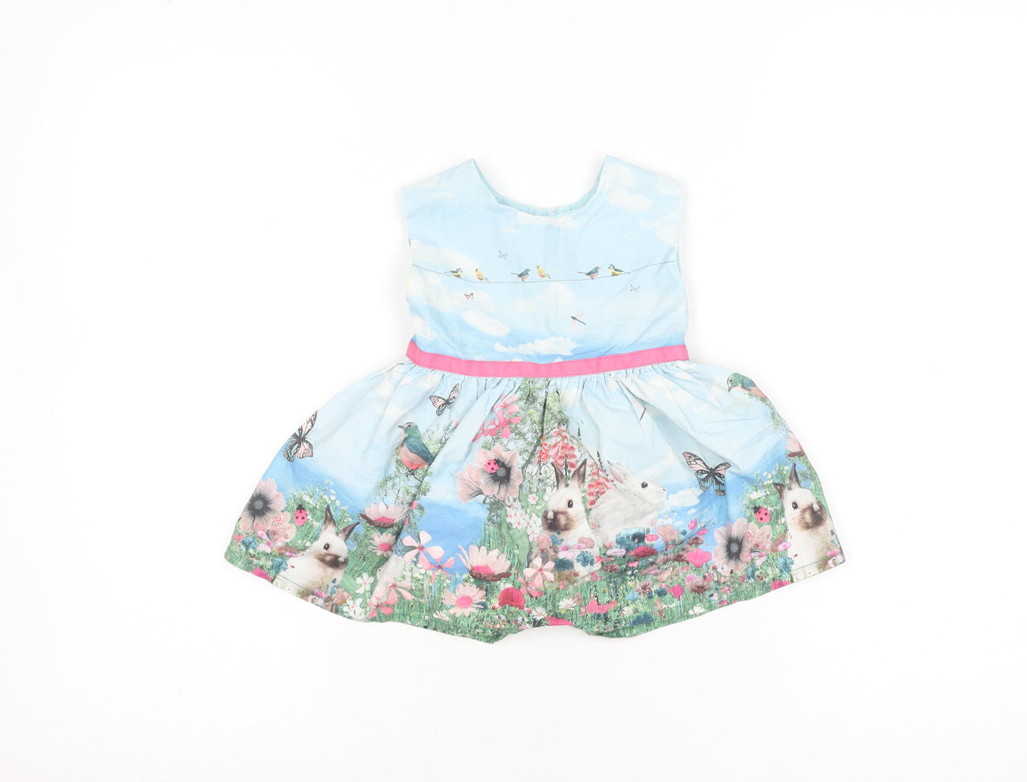 Next Girls Blue Rabbit Floral Scene Fit & Flare Dress 3-6 Months