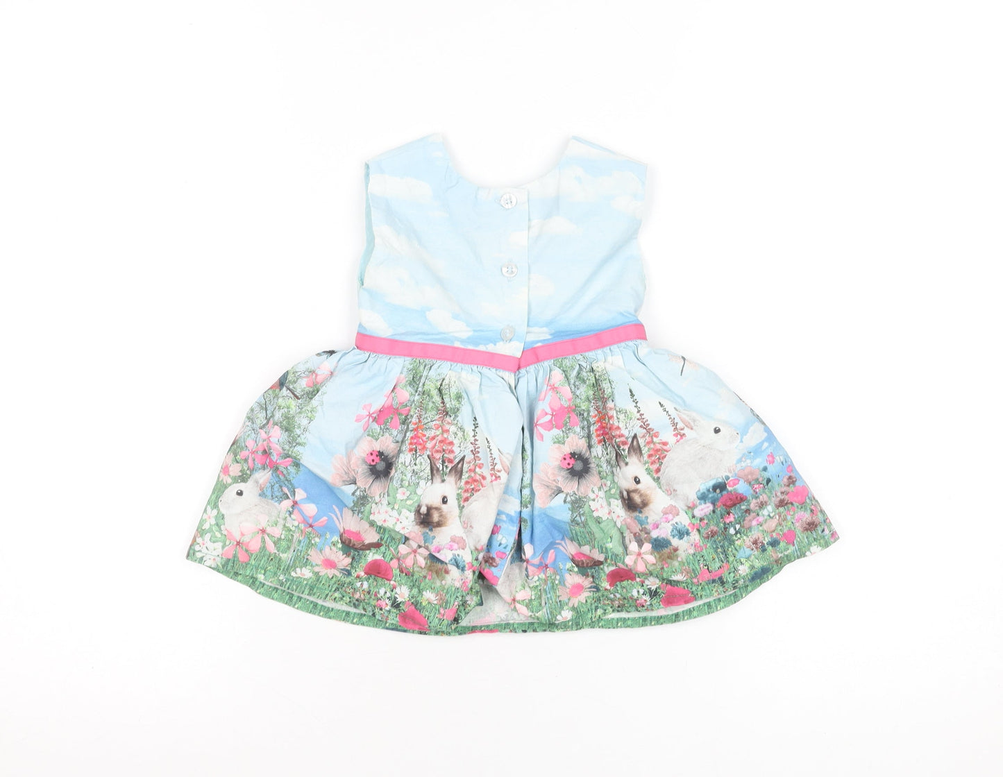 Next Girls Blue Rabbit Floral Scene Fit & Flare Dress 3-6 Months