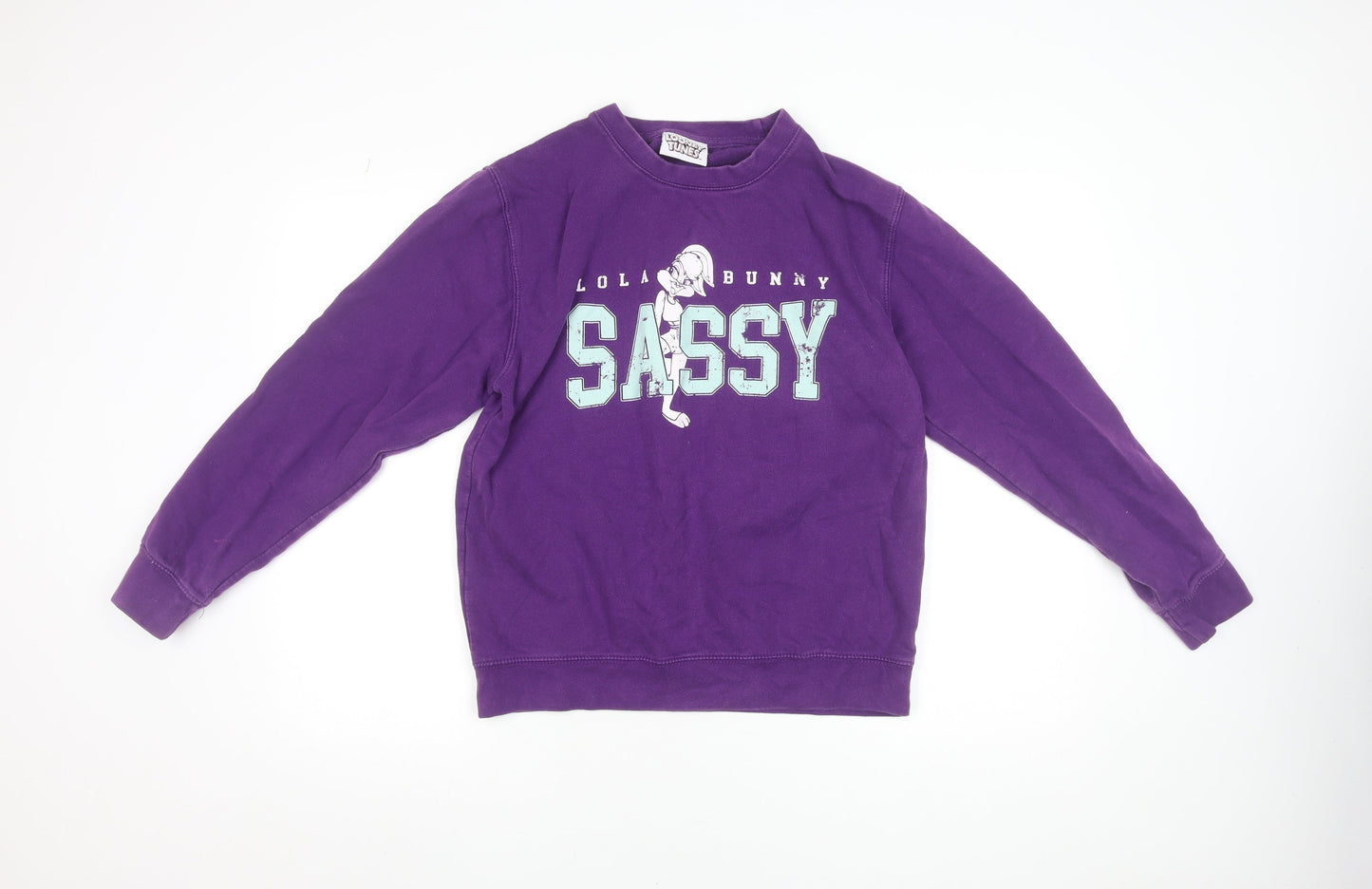 Womens UK Size 8-10 Looney Tunes Purple Pullover Sweatshirt