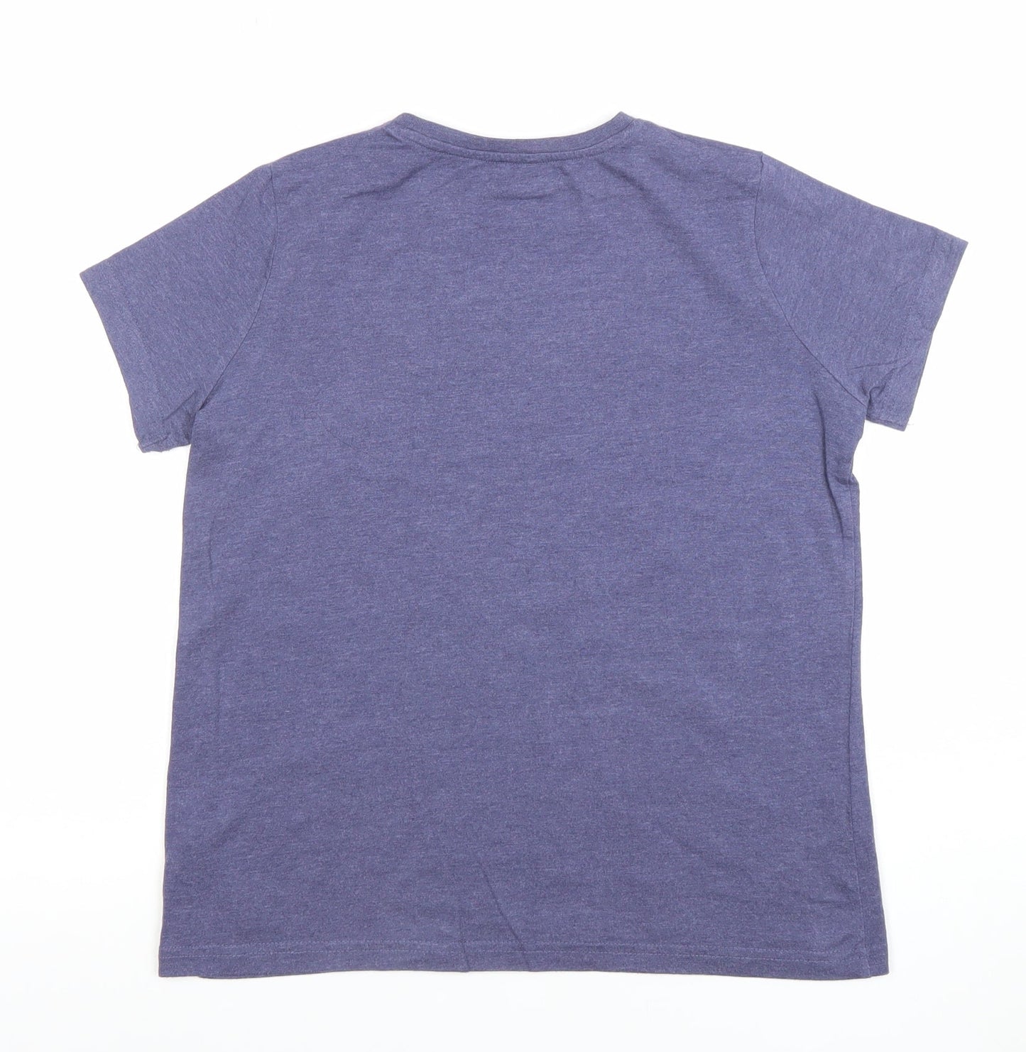 Girls UK Size 10-11 Years Harry Potter Blue Basic T-Shirt