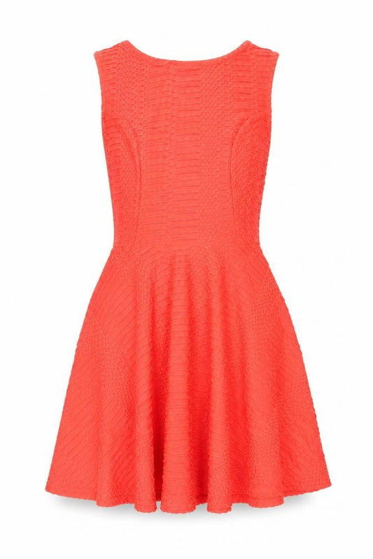 Womens UK Size 10 Cameo Rose Fit & Flare Dress