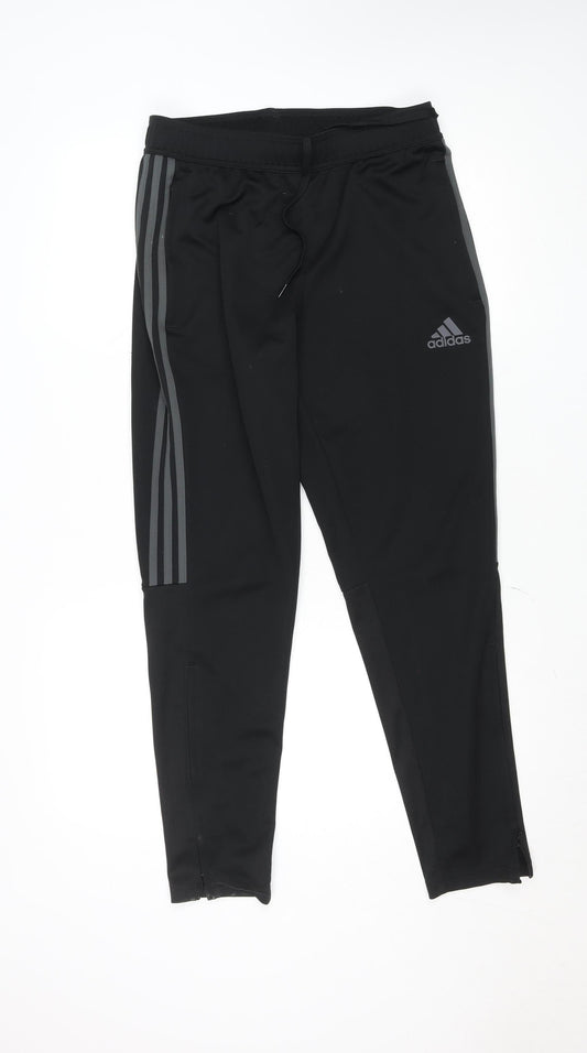 Adidas Men Black Medium Tapered Track Pants Primegreen