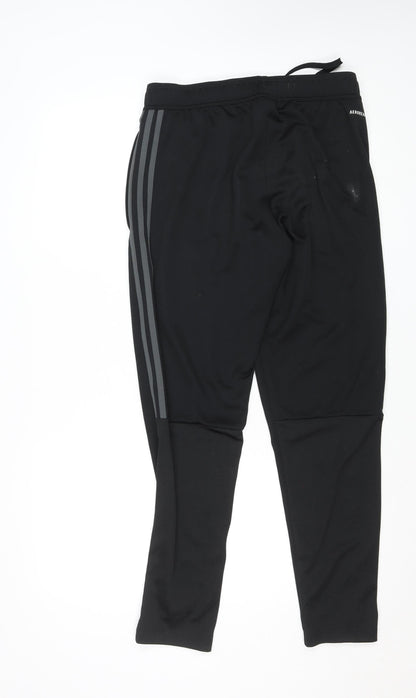 Adidas Men Black Medium Tapered Track Pants Primegreen