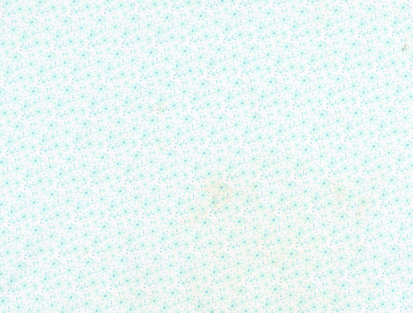 Regatta Women's Blue Floral Short Sleeve T-Shirt Size 14