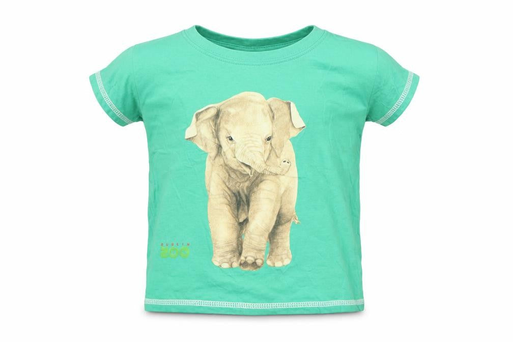 Boys UK Size 3-4 Years Traditional Craftwear Green Basic T-Shirt