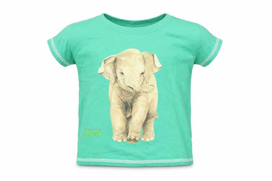 Boys UK Size 3-4 Years Traditional Craftwear Green Basic T-Shirt