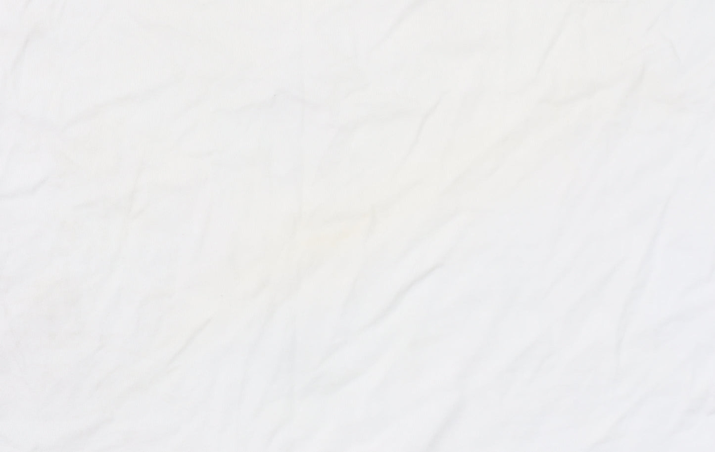 Tommy Hilfiger Men's White Cotton Regular Fit Logo T-Shirt L