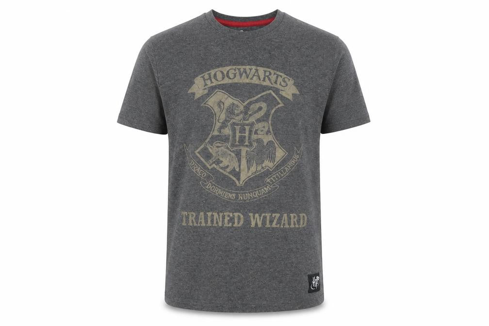 Boys UK Size 10-11 Years Harry Potter Grey Basic T-Shirt