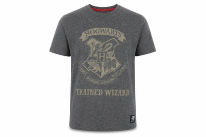 Boys UK Size 10-11 Years Harry Potter Grey Basic T-Shirt