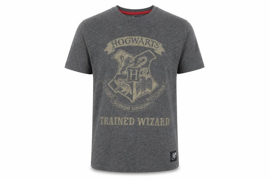 Boys UK Size 10-11 Years Harry Potter Grey Basic T-Shirt