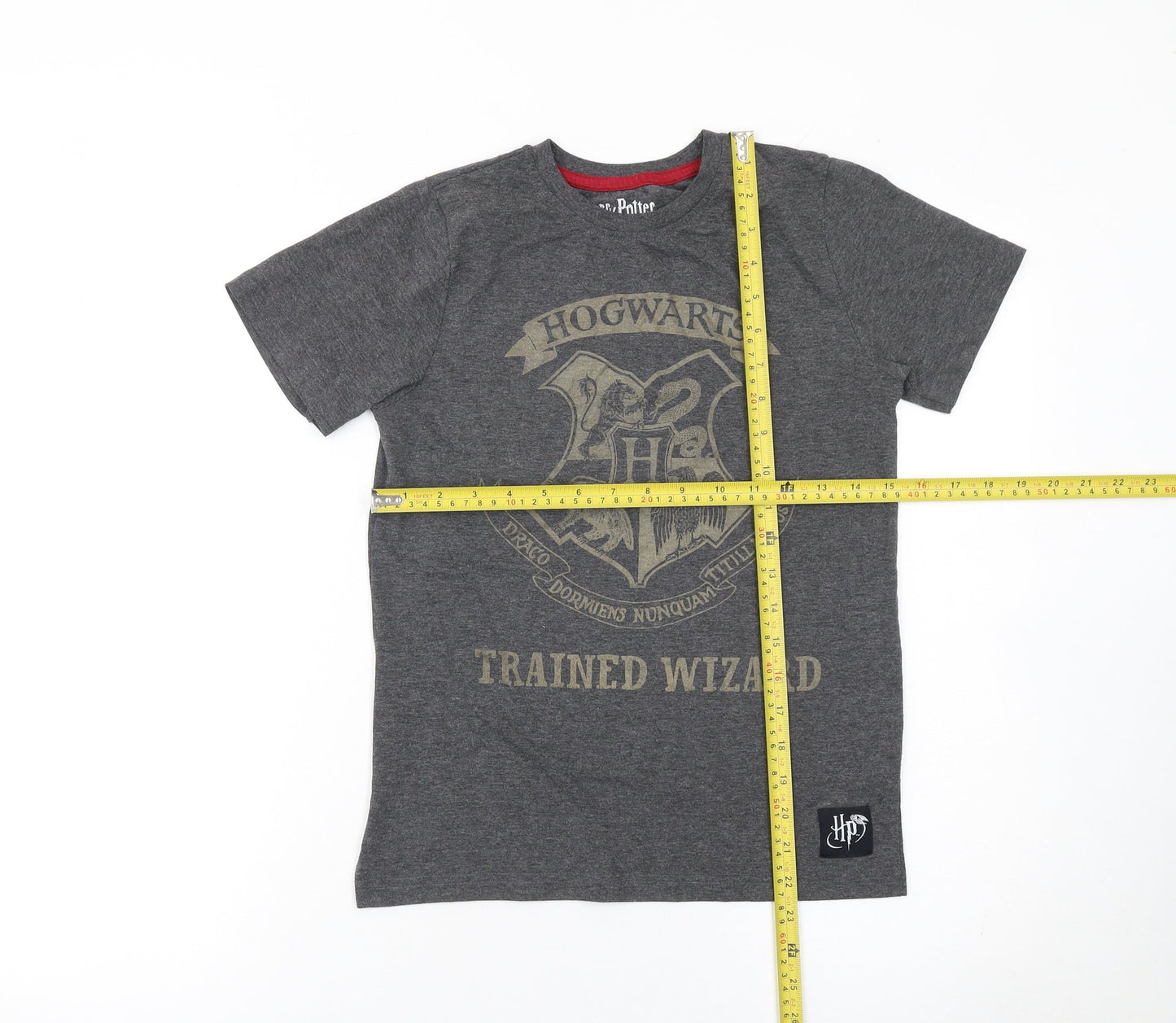 Boys UK Size 10-11 Years Harry Potter Grey Basic T-Shirt