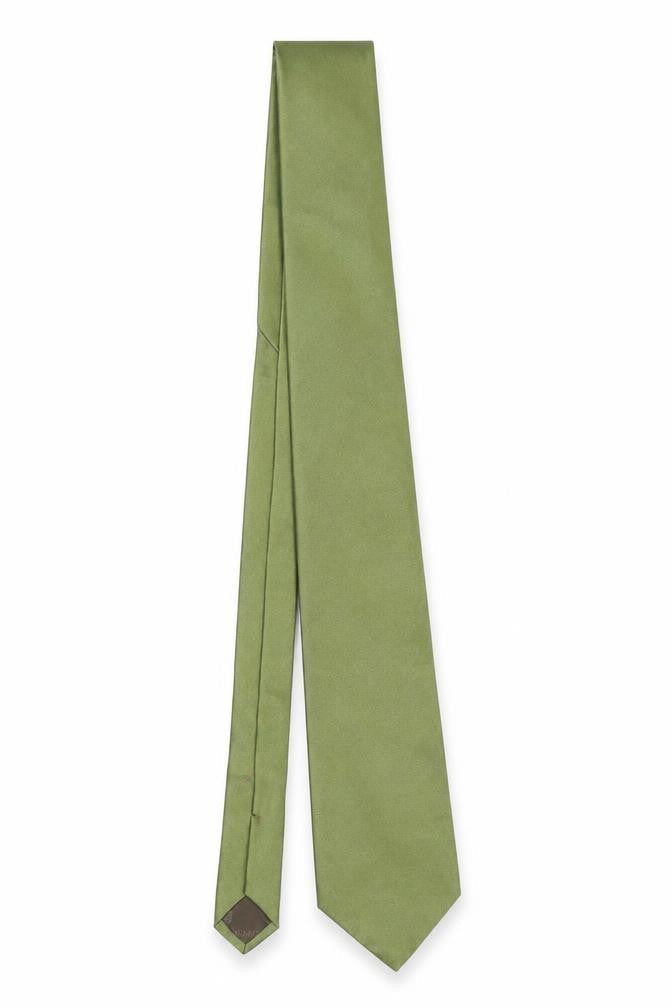 Mens Carnaval De Venise Green  100% Silk Pointed Tie