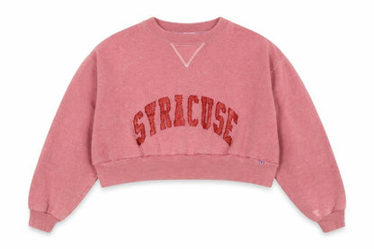 Womens UK Size L Russell Athletic Pink Pullover Sweatshirt