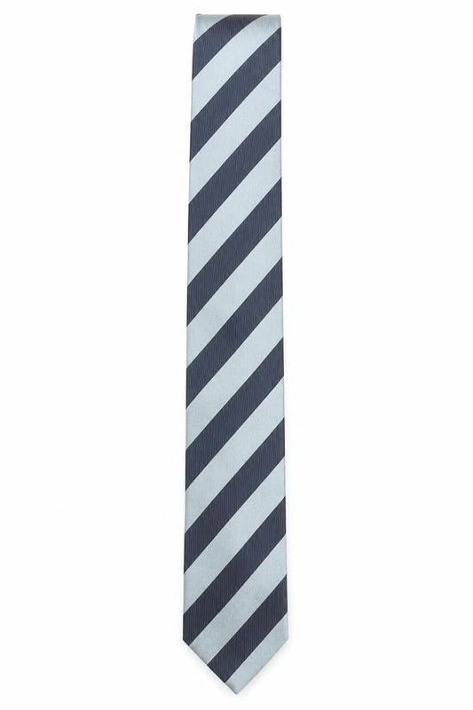 Mens La Corona Blue Striped 100% Silk Pointed Tie