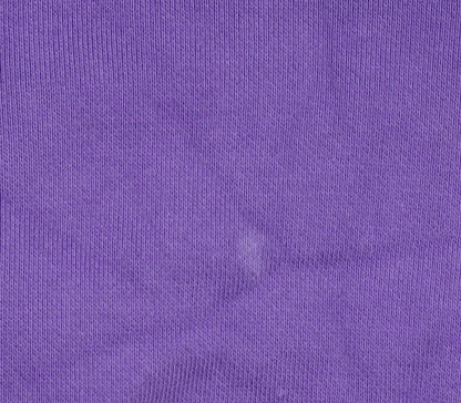 Mens UK Size S Champion Purple Pullover Hoodie