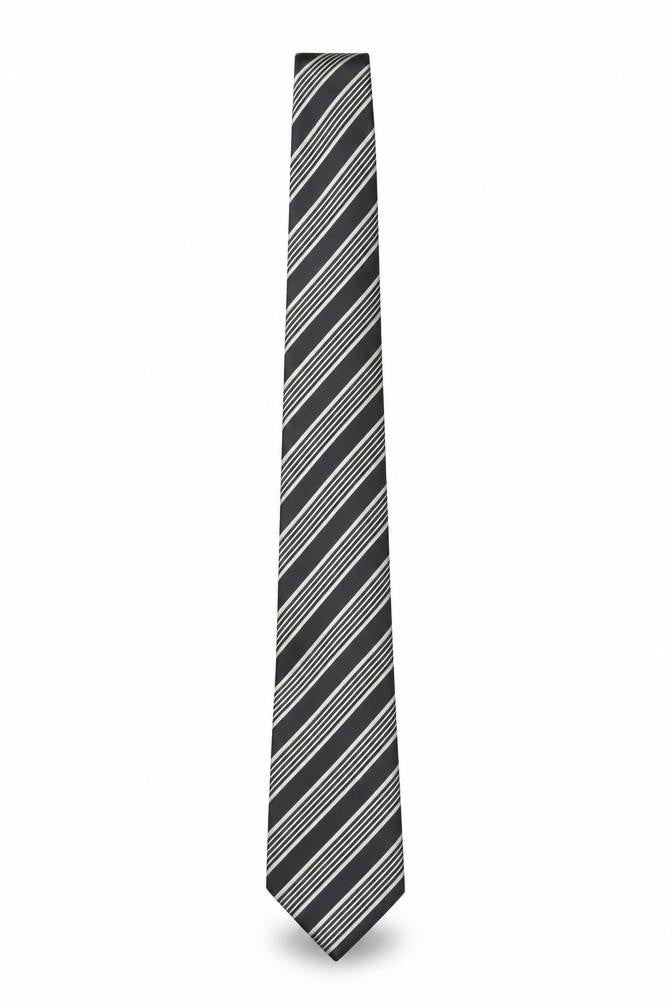 Mens Charleston The Rocks Black Striped 100% Silk Slim Tie