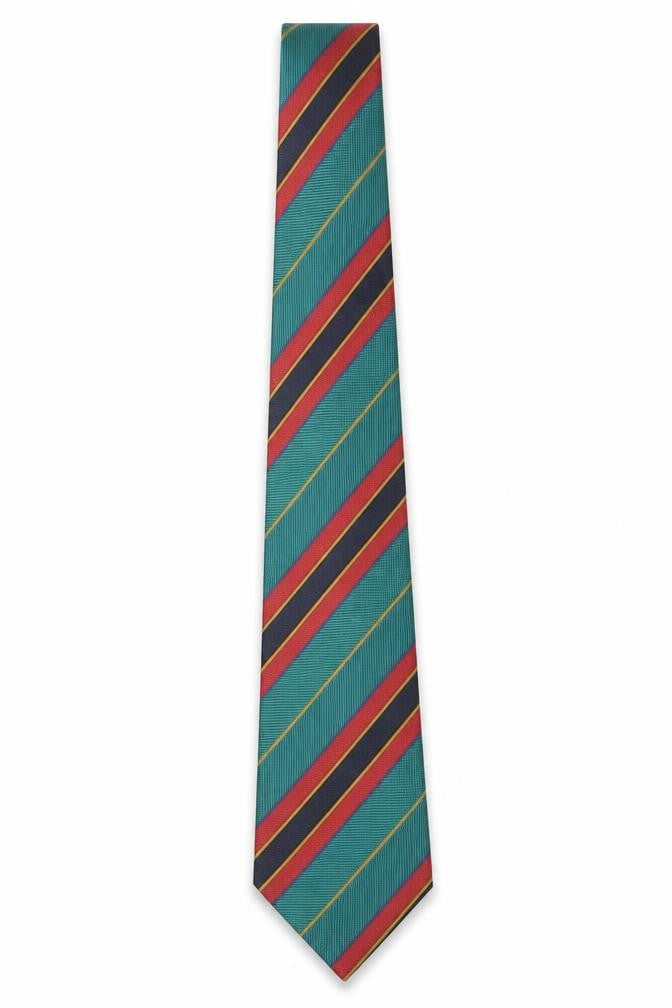 Mens Canda Multicoloured Striped 100% Polyester Pointed Tie
