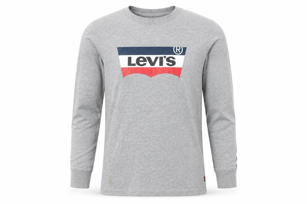 Boys UK Size 14 Years Levi's Grey Basic T-Shirt