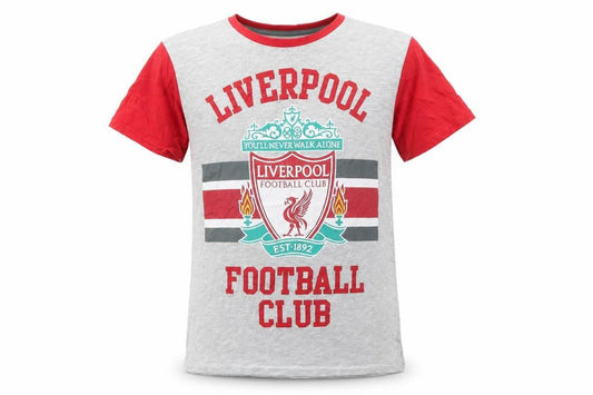Boys UK Size 10-11 Years Liverpool Football Club Grey Basic T-Shirt