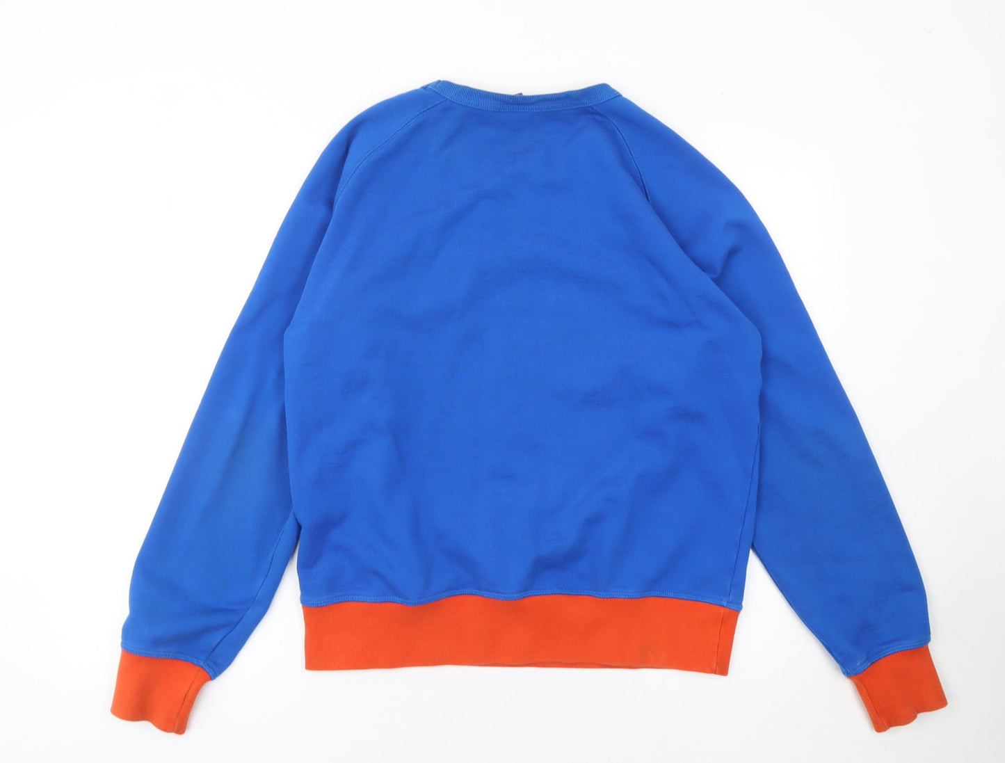 Mens UK Size L Champion Blue Pullover Sweatshirt