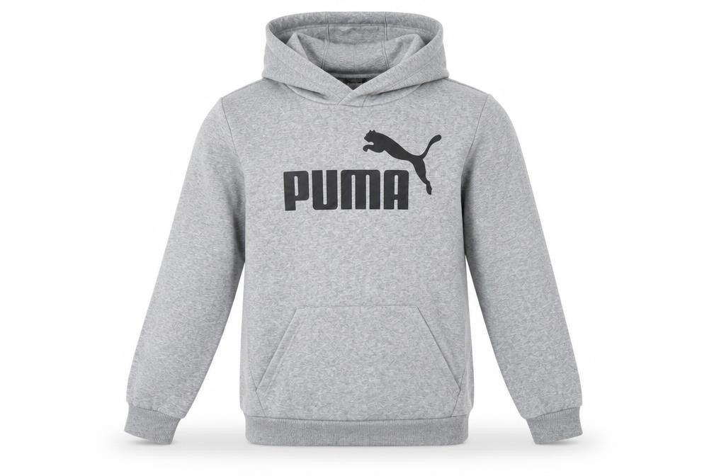 Front view of Puma boys’ grey pullover hoodie 16-15-16y regular fit fleece sweatshirt