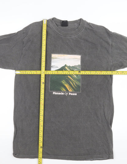 Womens UK Size XS Urban Outfitters Grey Basic T-Shirt