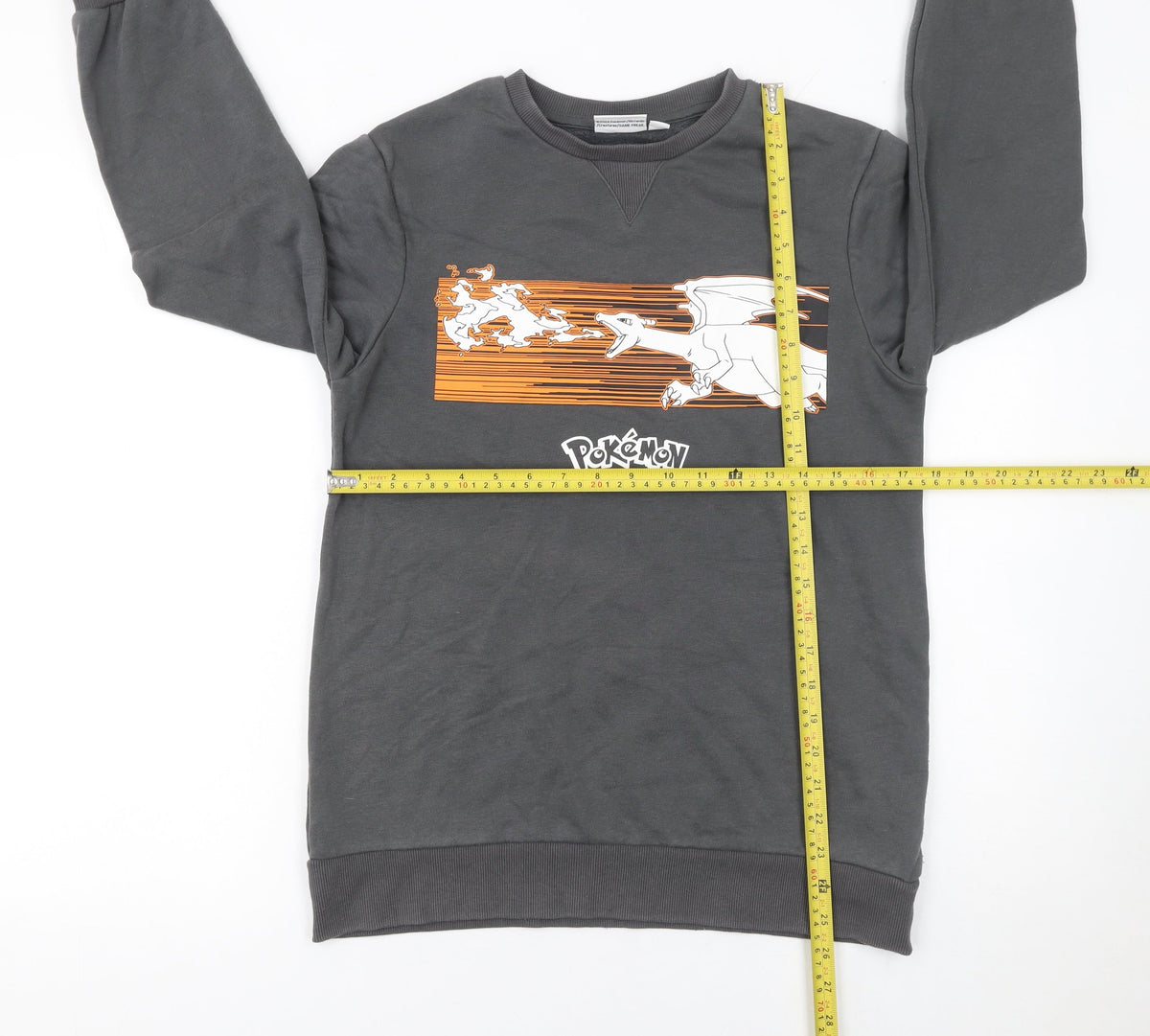 Pokémon Boys Grey 12-13 Years Pullover Sweatshirt Graphic Print Charizard