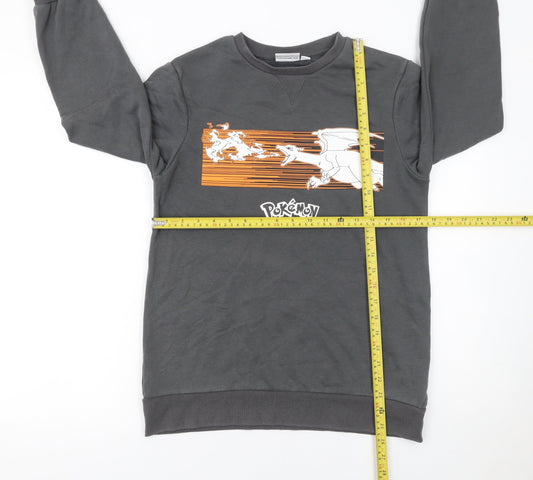 Pokémon Boys Grey 12-13 Years Pullover Sweatshirt Graphic Print Charizard