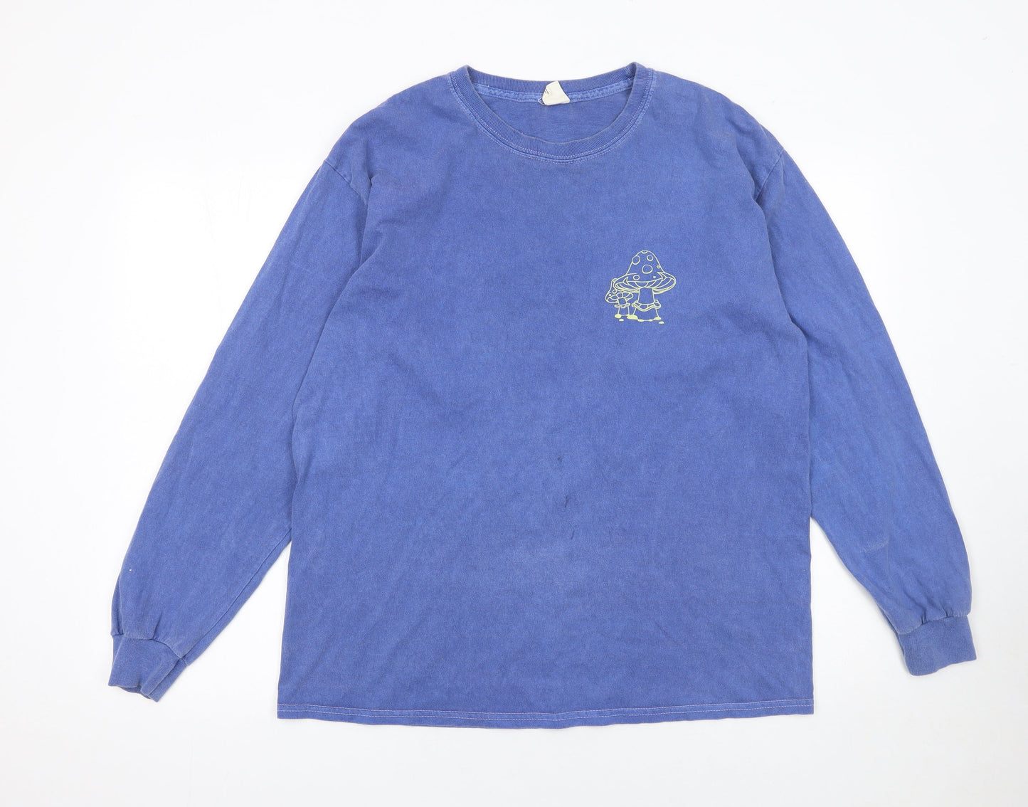 Mens UK Size M Urban Outfitters Blue  T-Shirt