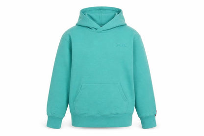 Front view of Levi's boys’ green pullover hoodie 9-10 years cotton blend logo sweatshirt
