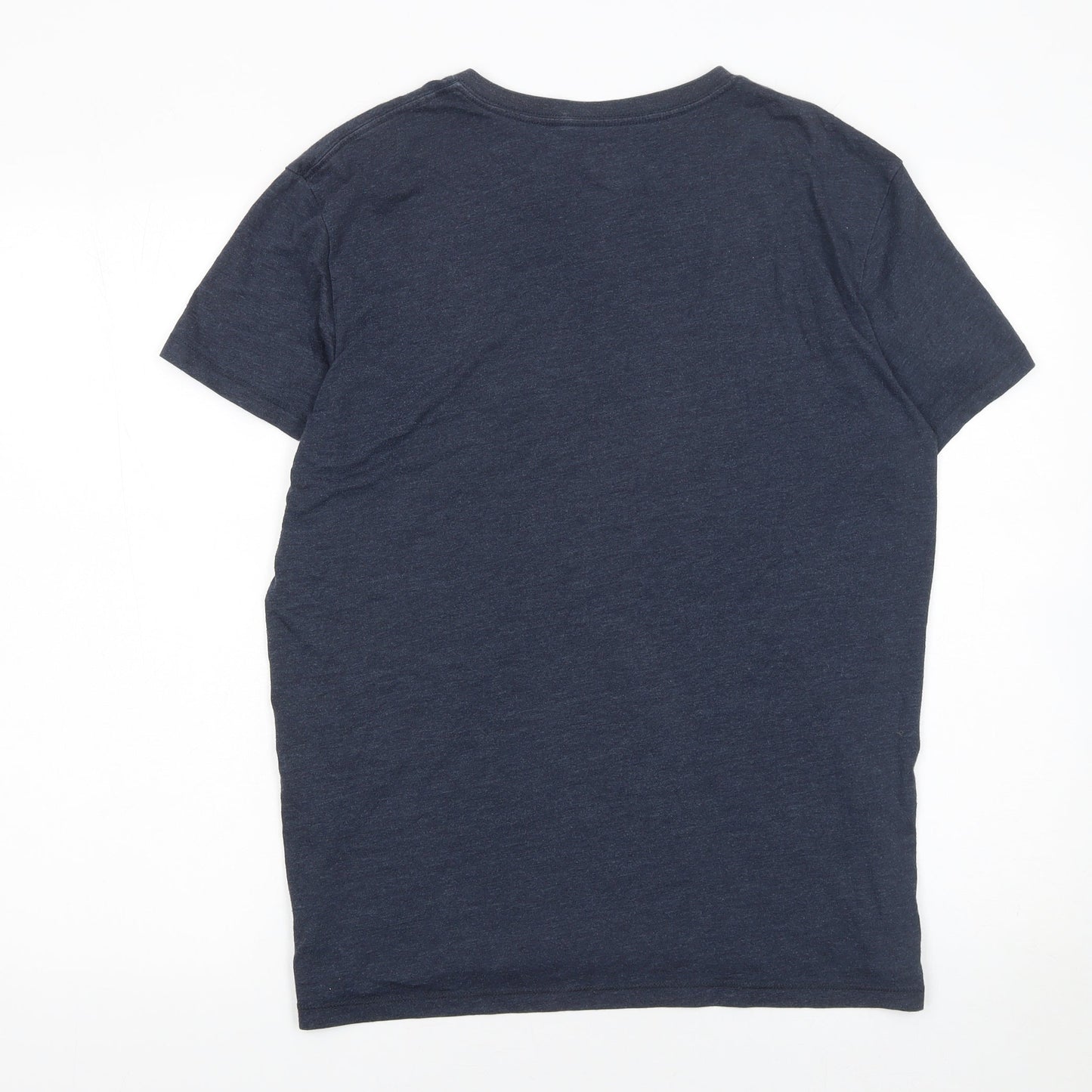 Mens UK Size M American Eagle Outfitters Blue  T-Shirt