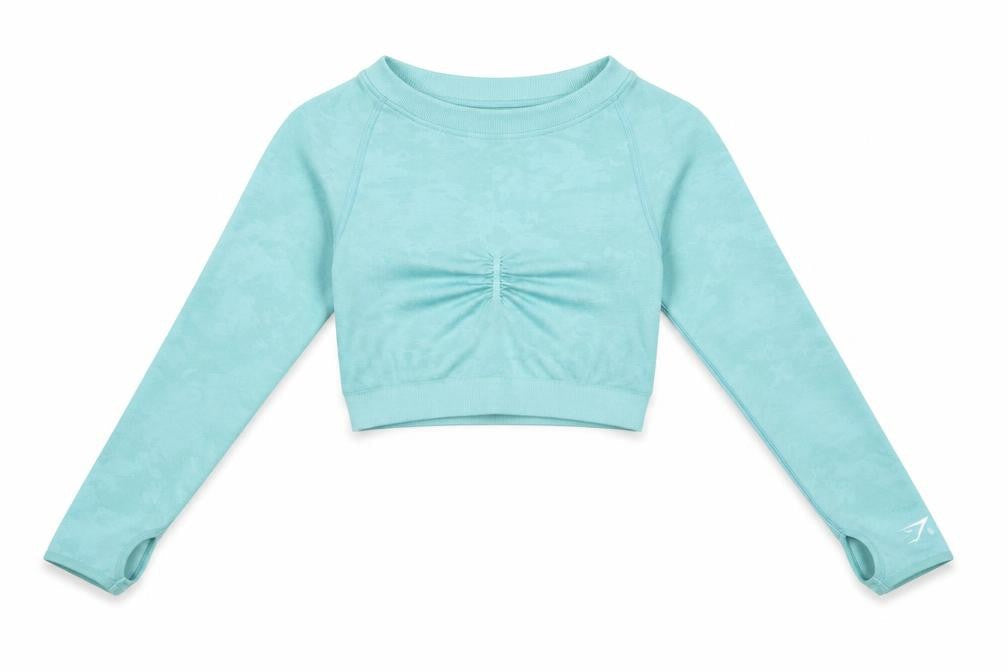 Gymshark Women Blue Long Sleeve Cropped Activewear Top Size S